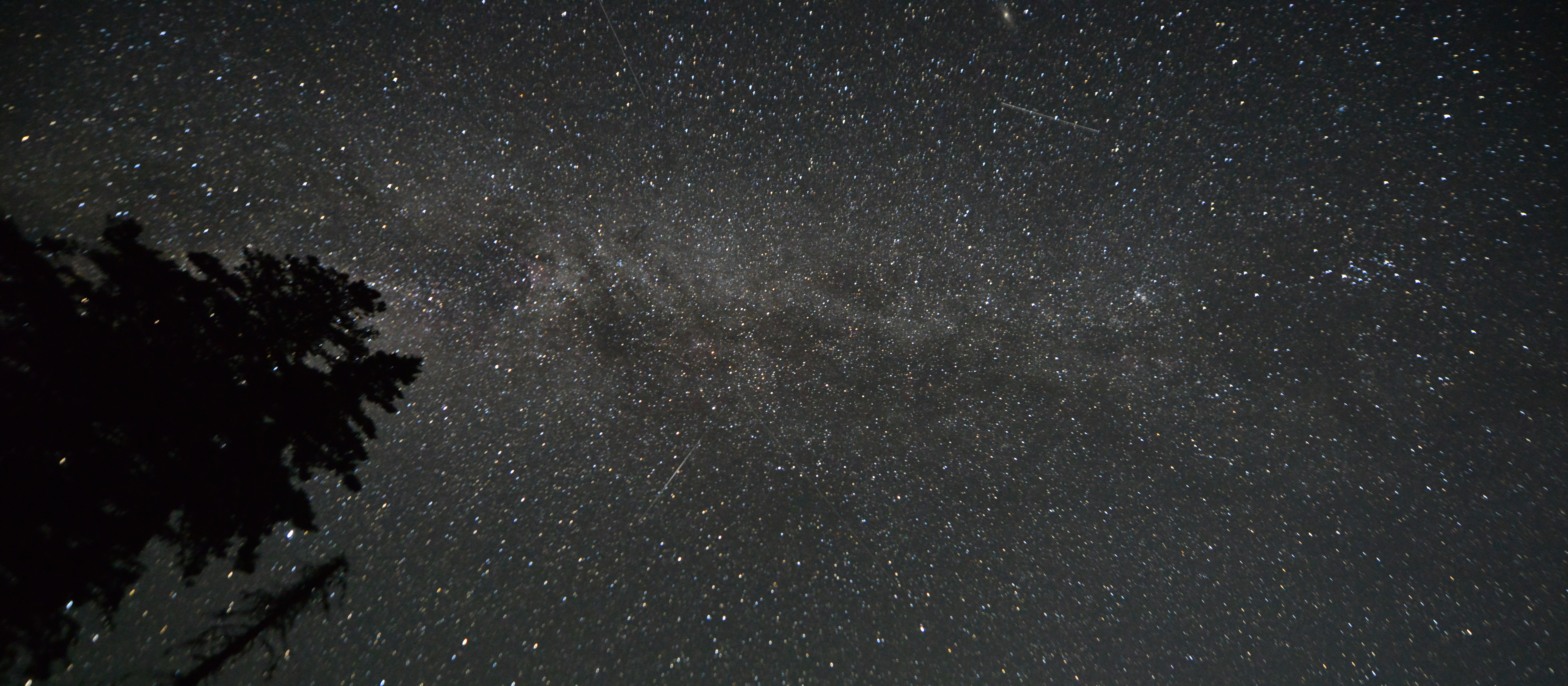 A dark starry night sky.