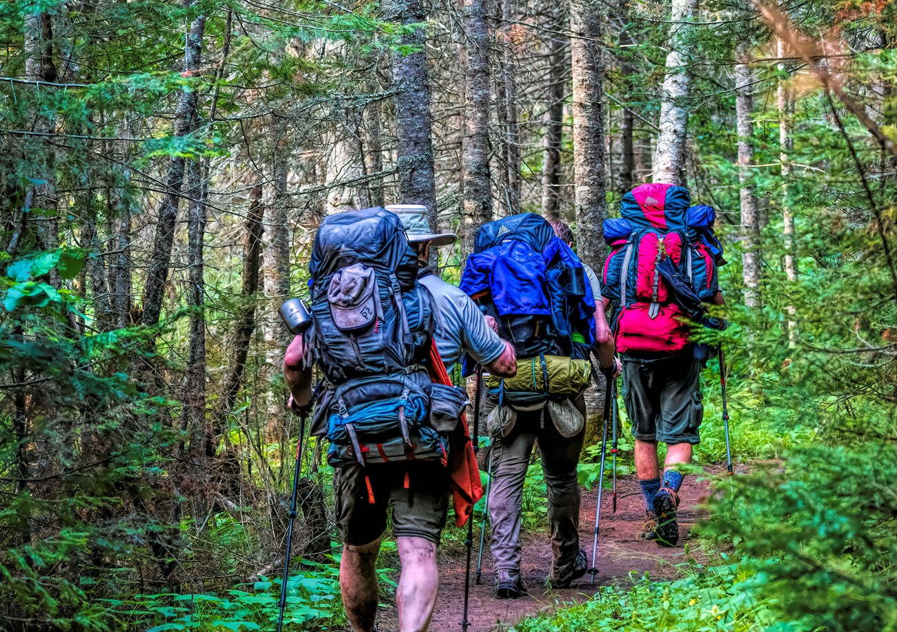 Three people carrying large backpacks hike on a forested trail with their backs turned to the camera.