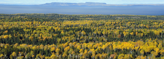 Fall colors on the northeast side of the Island.