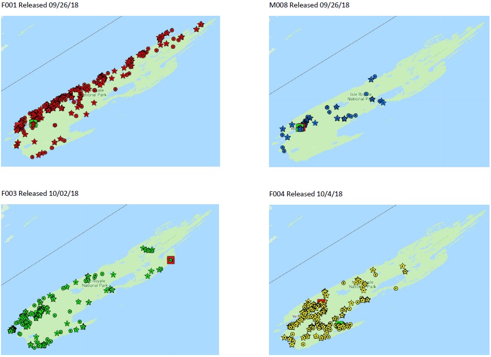 Four Isle Royale maps show location points of wolves