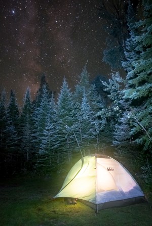 Illuminated tent with starry night visible above trees
