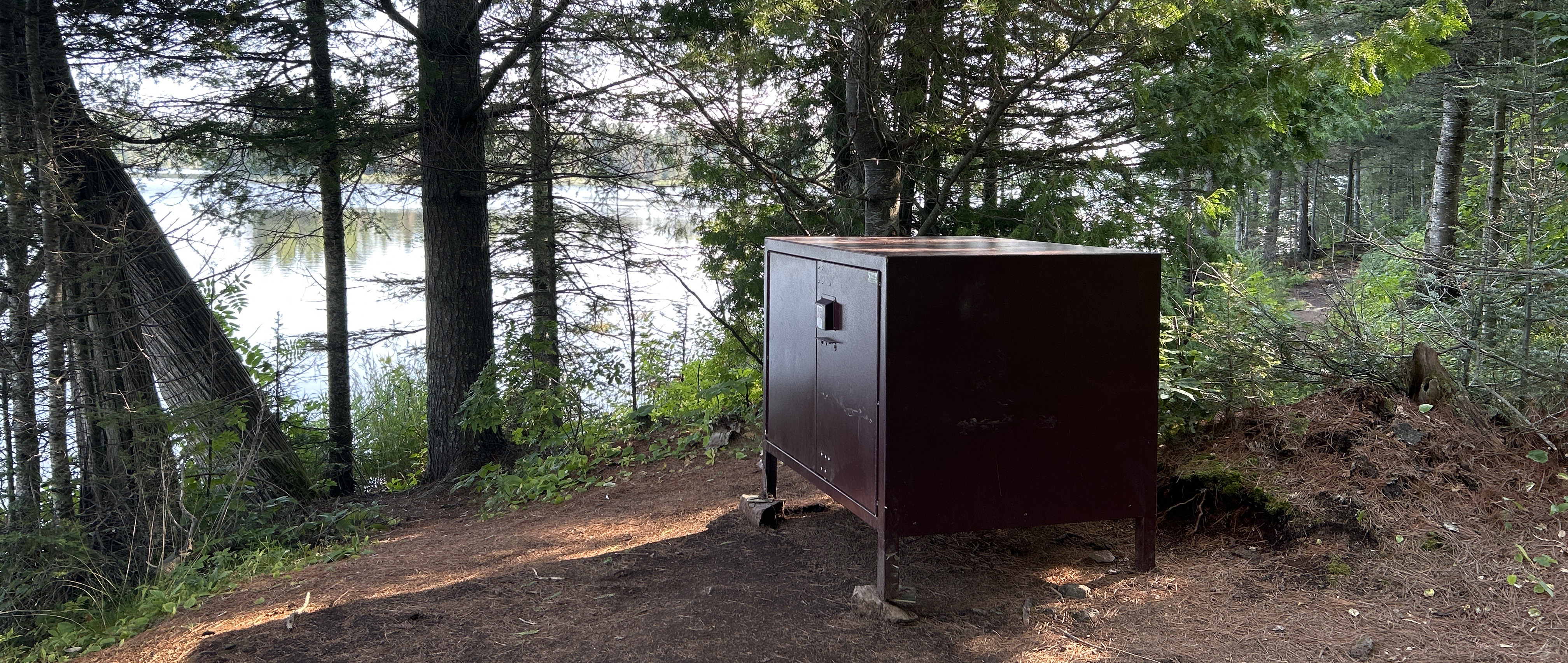 A brown metal food storage locker in the woods next to a lake.