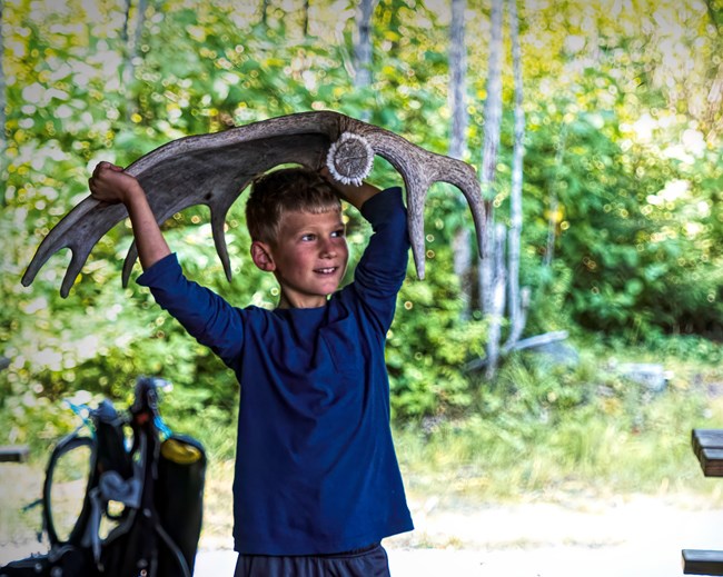 A small child holds a large moose antler above their head.