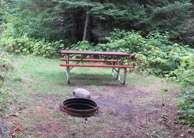 A grassy campsite with a picnic table and fire ring