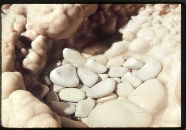 white, smooth pebbles in a shallow puddle