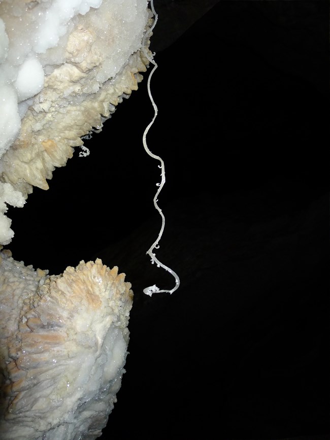 A delicate gypsum flower 'tendril' descending from an area of calcite crystal.