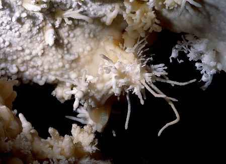 A helictite stretched outward in a crooked direction from a calcite ceiling in Jewel Cave.