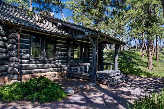 log cabin in a pine forest