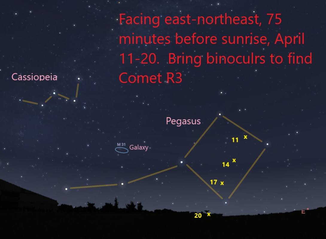 White dots represent stars on the black background of the sky; trees form the horizon.