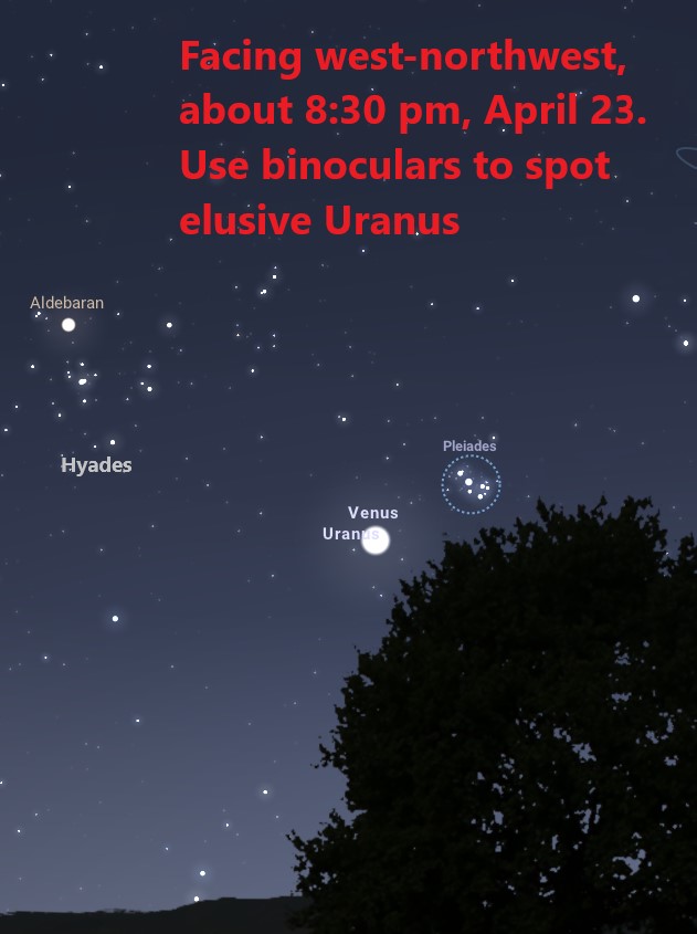 White dots represent stars on the black background of the sky. Trees form the horizon.