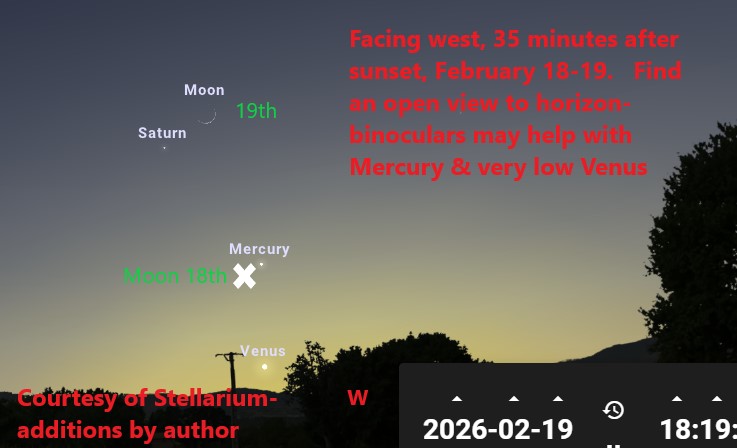 A view of the projected night sky on February 18. Trees and power lines are on the horizon.