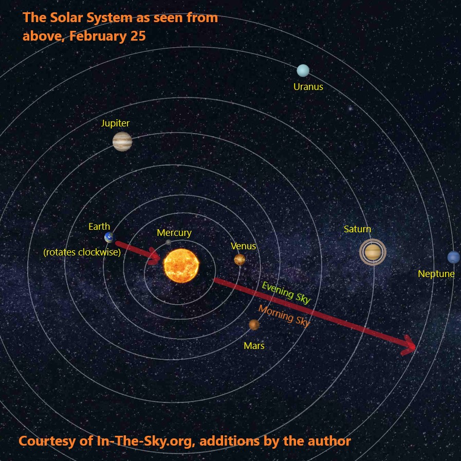 An image of the solar system, viewed from above. Several planets and their orbits are included.