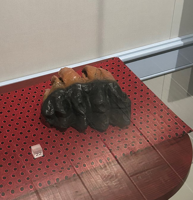 Mastodon Teeth, colored black and brown, on top of a red and black patterned piece of fabric