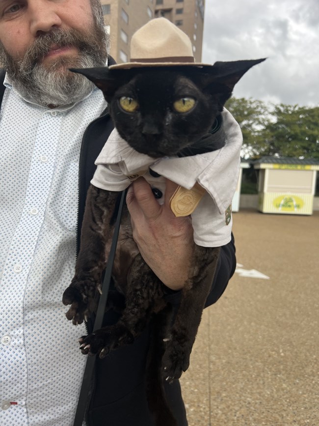 A cat in a ranger costume