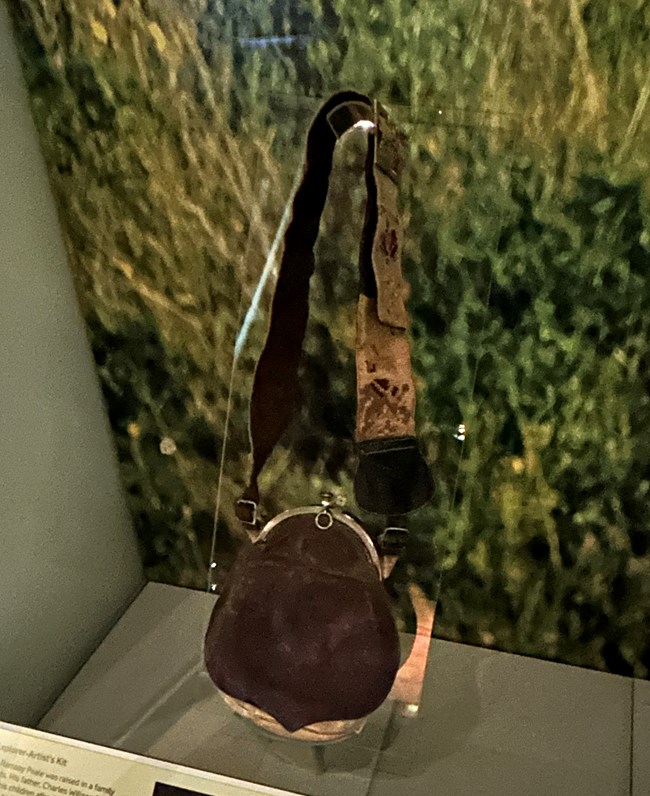 A brown bag with an embroidered strap