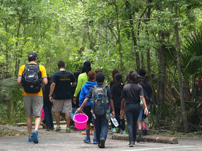 Students on a field trip walk in the woods