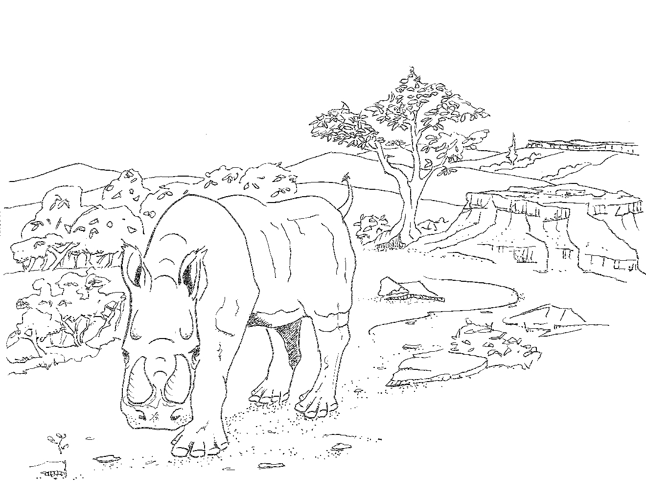 a rhinoceros with two horns walks through a Savannah-like landscape