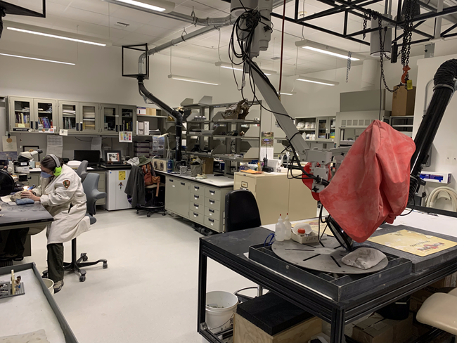 A large room with several desk spaces. At one desk a person in a lab coat sits at a microscope looking at something in their hands.