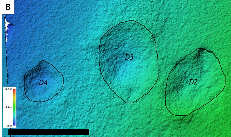 Blue and green stone with three black outlines of hoof marks