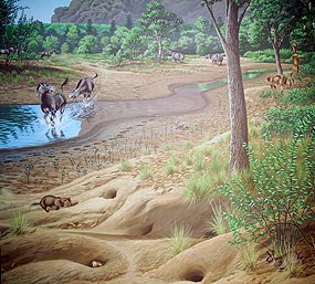 Image of a mural of the Kimberly assemblage.