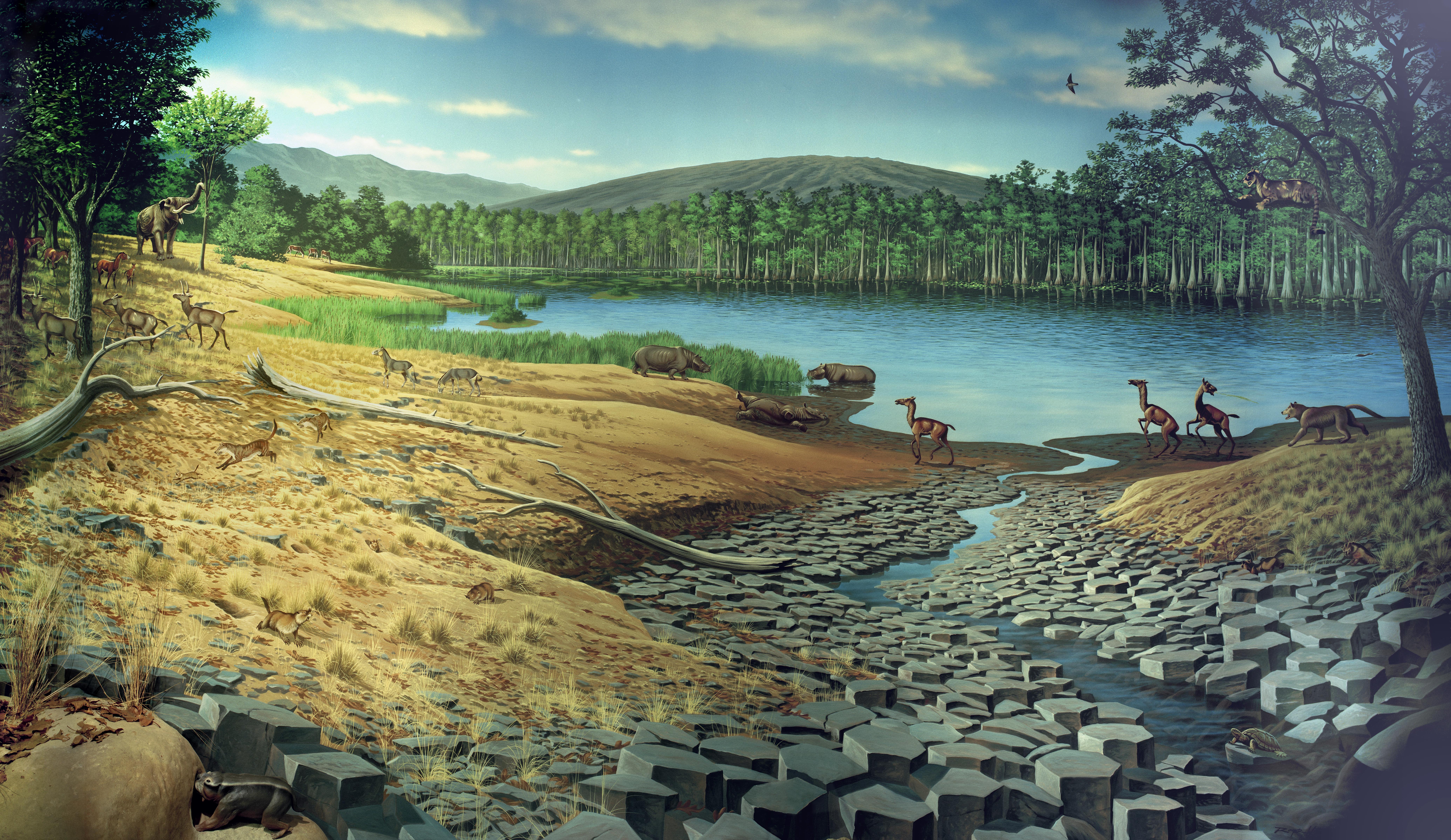 The Mascall mural shows a landscape of a lake damned by basalt lava flows, tan-colored grasses, elephants, and other herbivores. Trees line the lake and there is a large shield-like volcano reaching towards a partly cloudy sky.