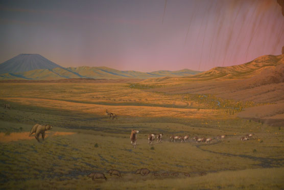 Image of a mural of the Rattlesnake paleoecology.