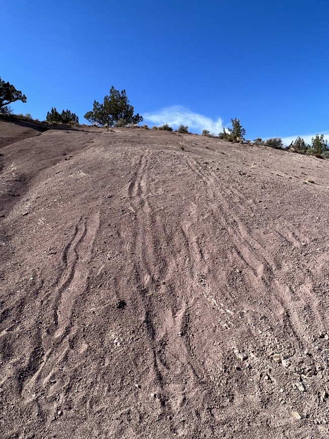 Purple rhyolite with foot traffic damage.