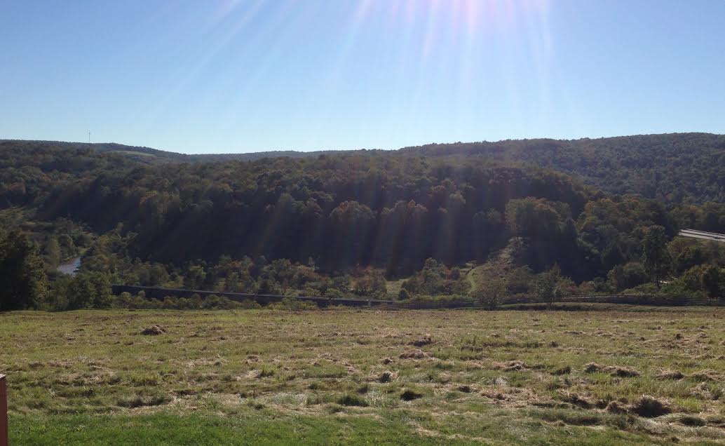 The lakebed at Johnstown Flood National Memorial