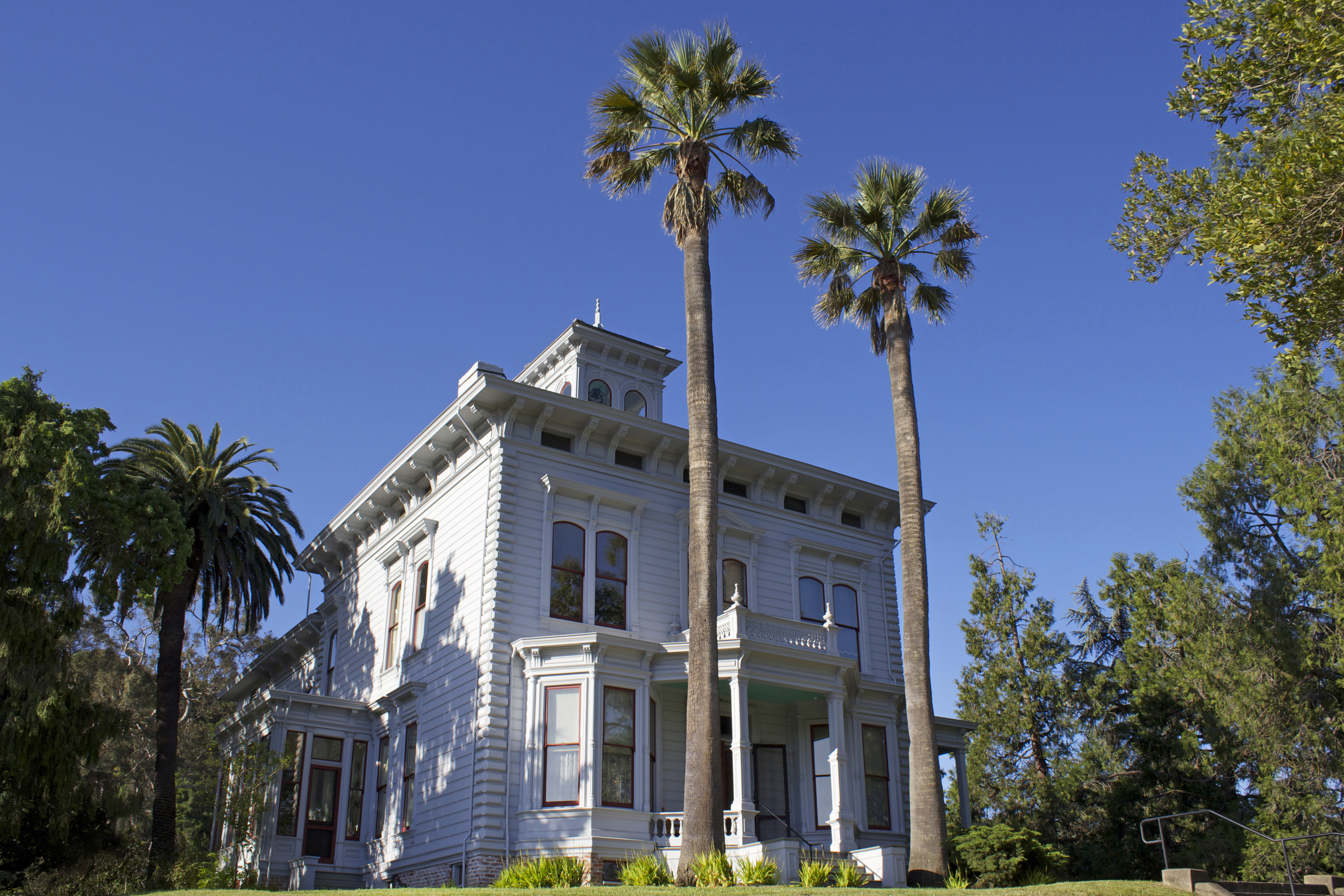 Exterior view of the John Muir House, a historic white Victorian-style mansion surrounded by tall palm trees and lush greenery, set against a bright blue sky.