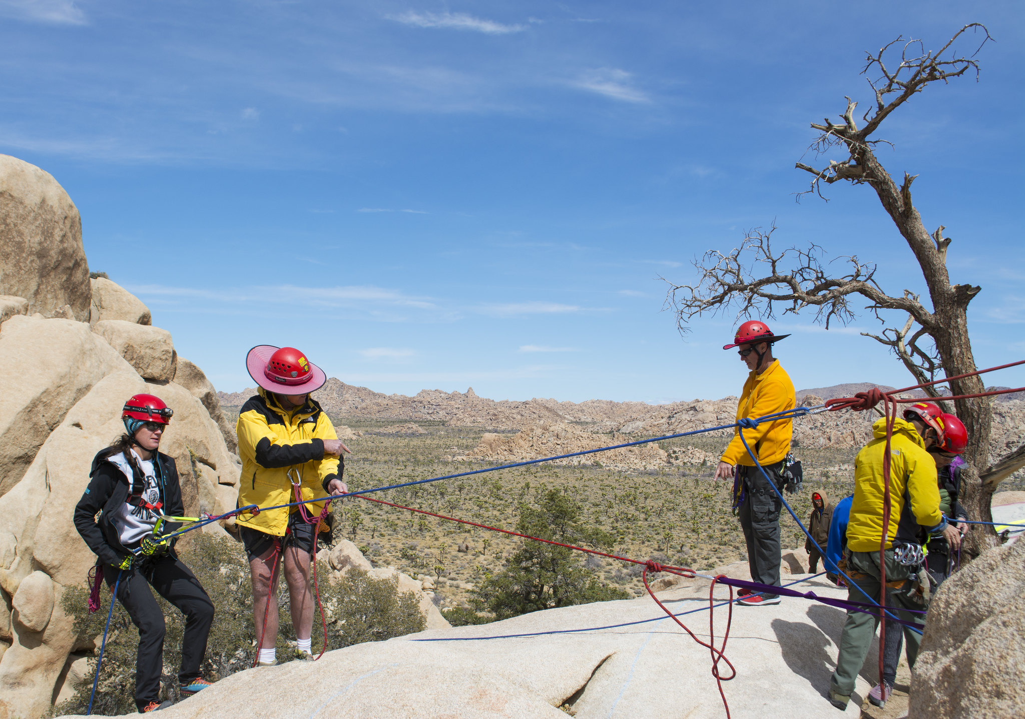 Four people in a system of ropes and anchors are training how to rappel down a rock face during a search and rescue technical training.