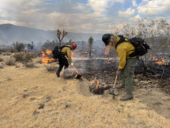Two firefighters with shovels at the edge of a fire burning in a desert ecosystem.