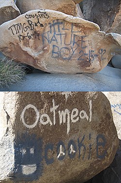 Defaced Rocks in Rattlesnake Canyon