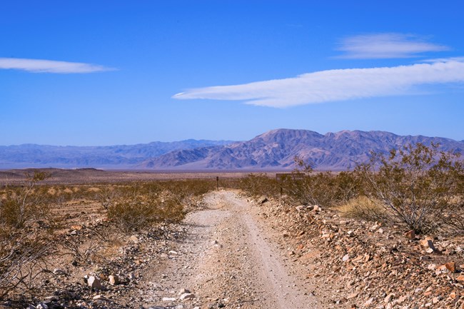 A rocky dirt road travels straight into the horizon and leads into distant blue mountains, bordered by desert shrubs along the way.