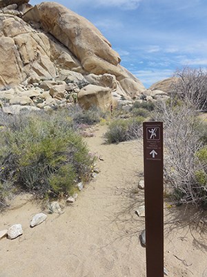 A brown post marks a designated climbing access trail. Please use these rather than trampling fragile desert vegetation and creating social trails.