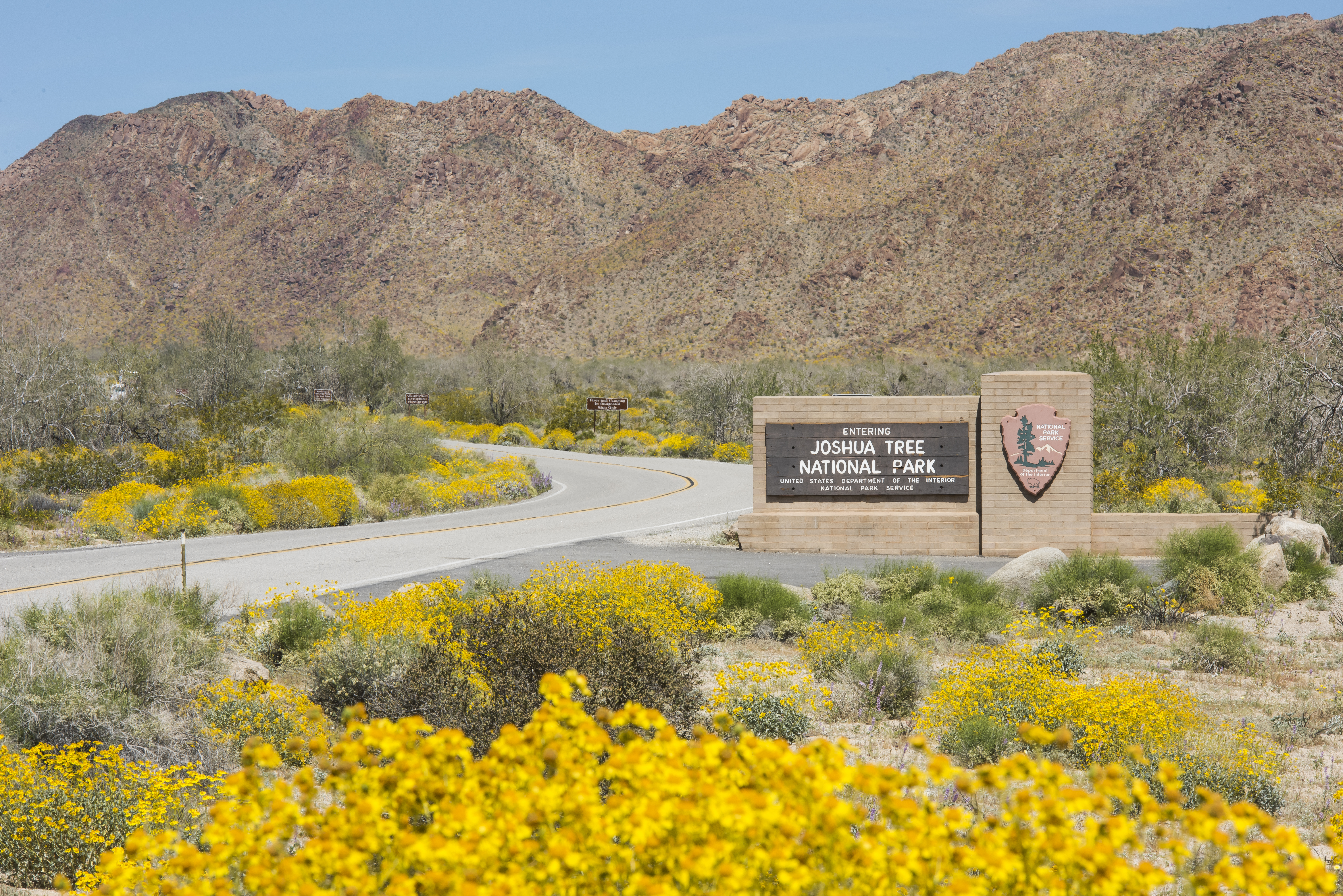 A sign that says "Joshua Tree National Park" with yellow flowers in