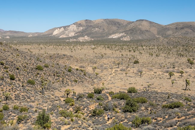 Two hikers walk down a winding trail from a birds-eye view with mountains in the distance.