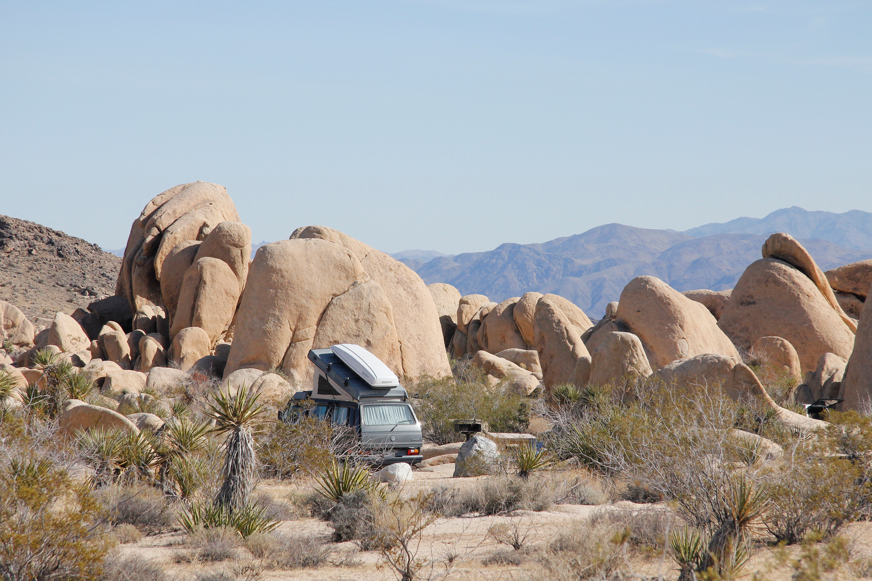 Color photo of campsite seen through brush. NPS Photo
