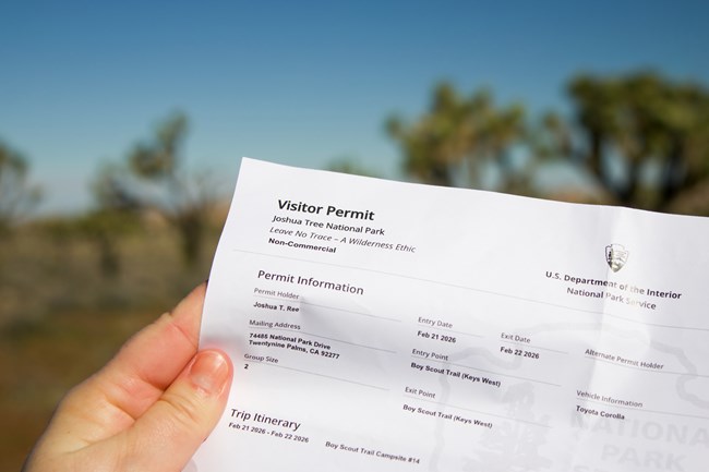 A Backpacker with a Permit