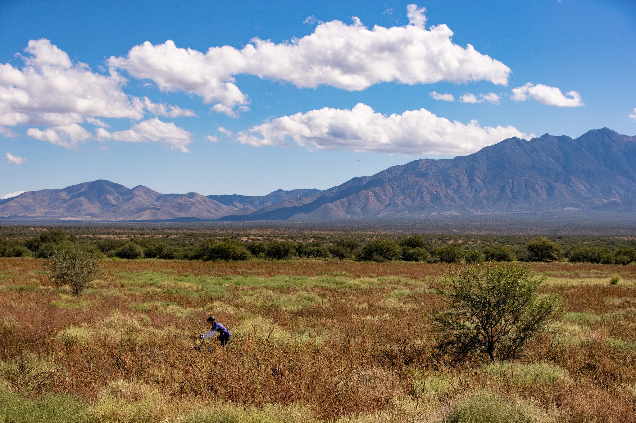 A bicycle rider travels the Anza Trail in a desert brush landscape. Large mountains loom in the background.