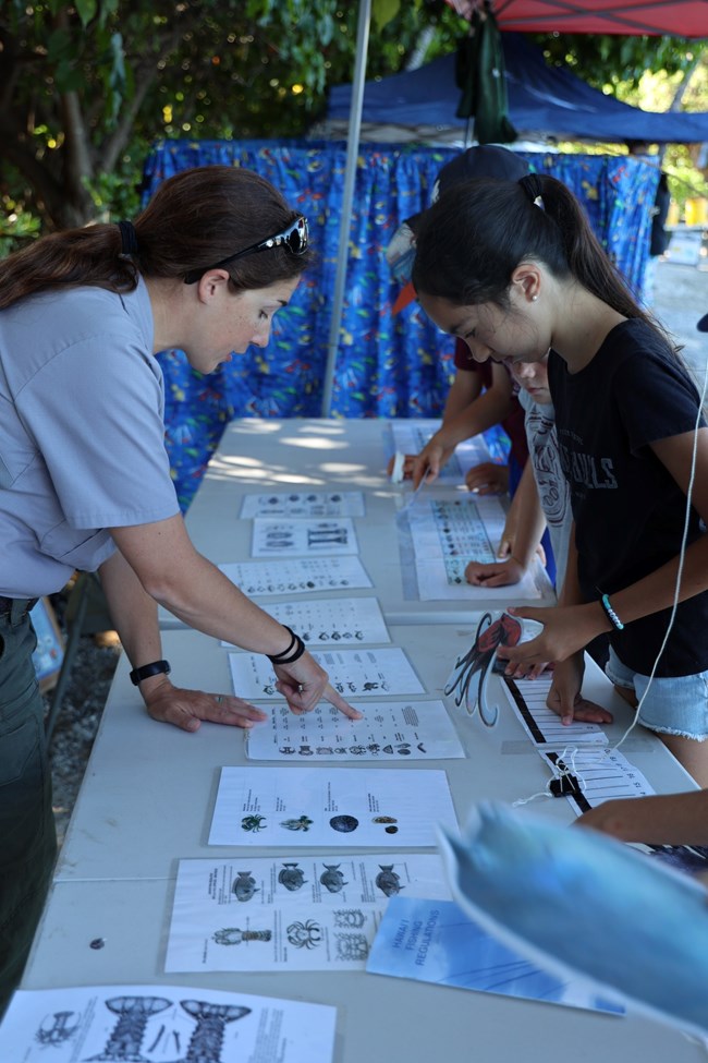 NPS Employee teaching park visitor