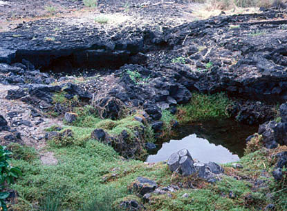Two anchialine pools