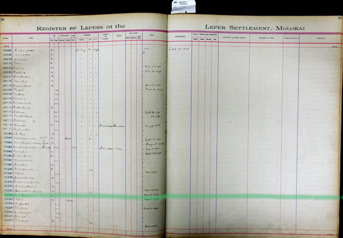 Register Image for #1154 - Keliikaala