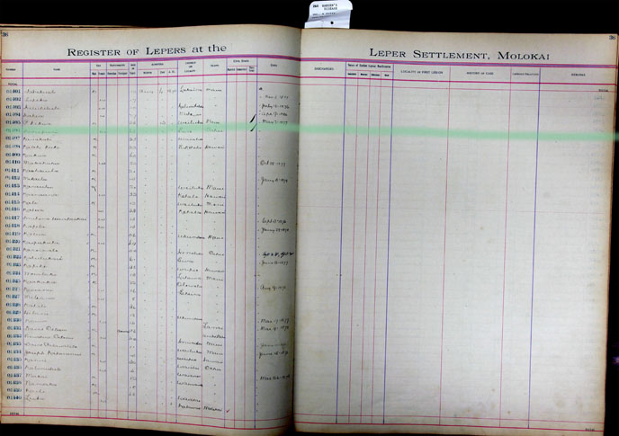 Register Image for #1406 - Keaupuni