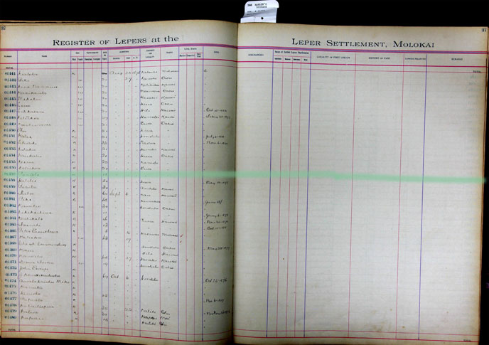 Register Image for #1457 - Paniolo