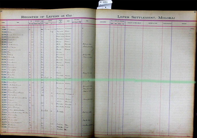 Register Image for #1461 - Pika