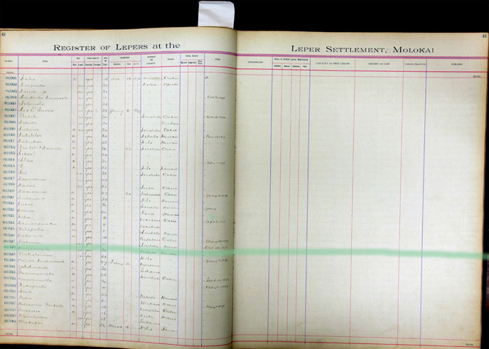 Register Image for #1628 - Haliimaile