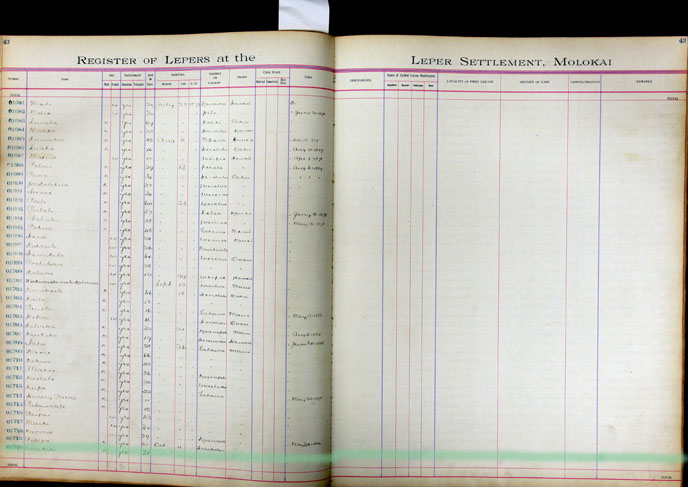 Register Image for #1720 - Waikahe