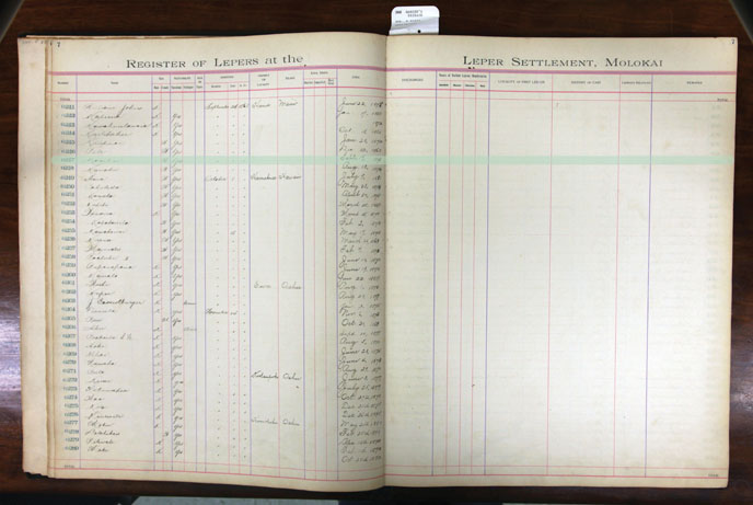 Register Image for #247 - Kaaihue