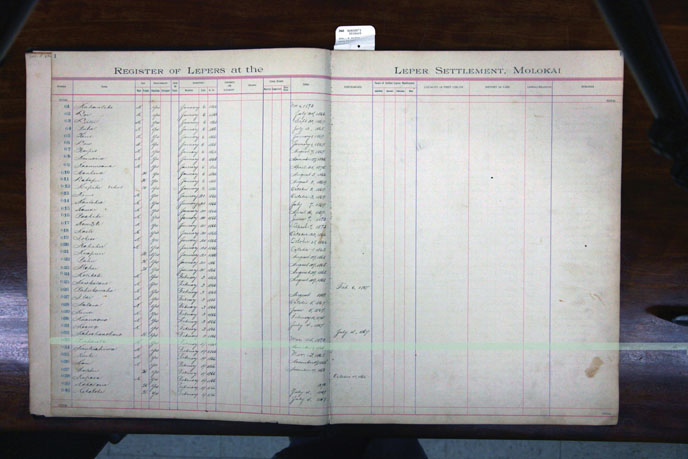 Register Image for #33 - Puhaula