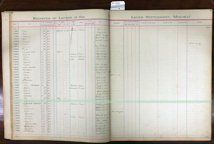 Register Image for #388 - Kalawaia